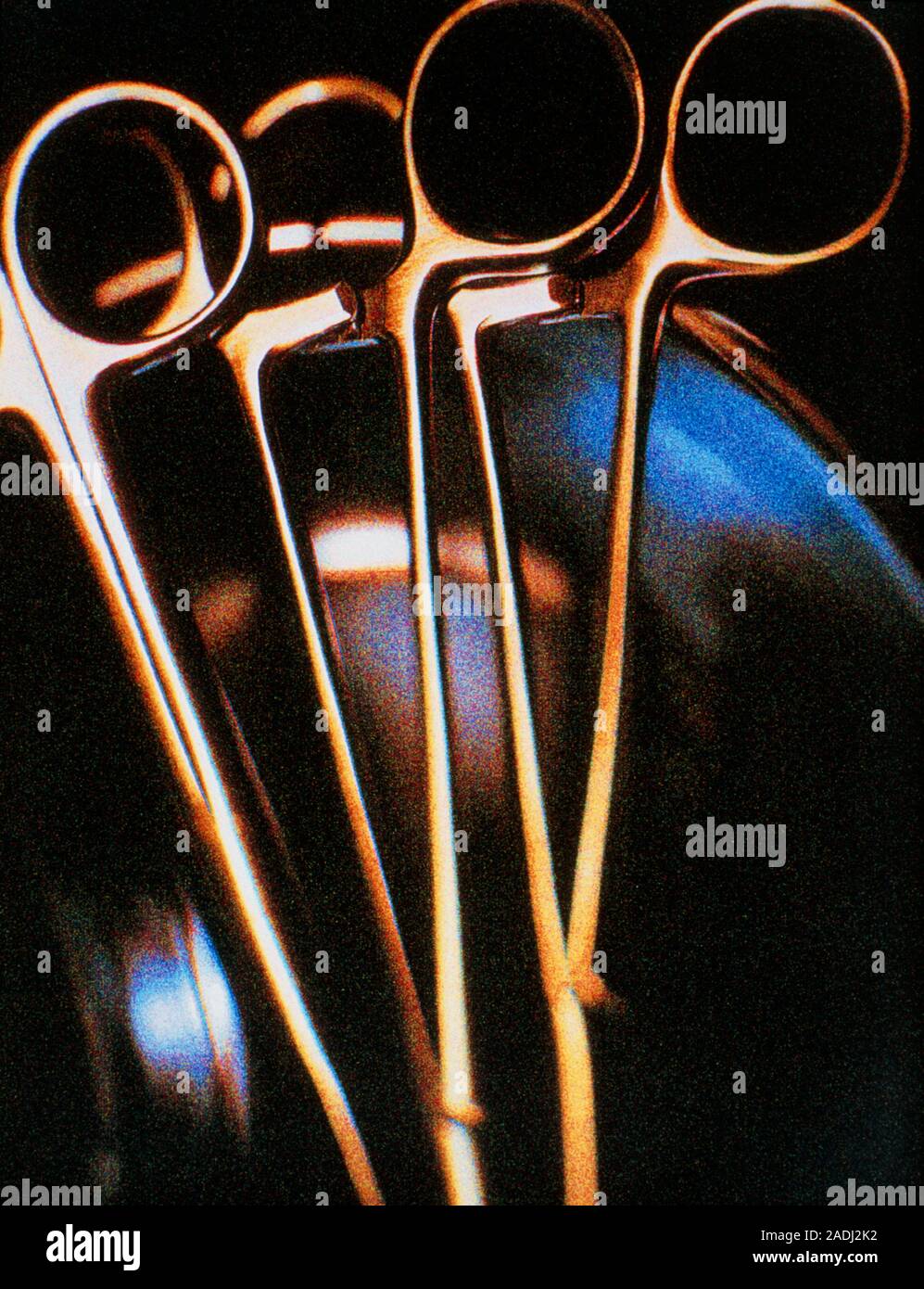 Forceps. Surgical scissor forceps in a stainless steel bowl. Forceps are used to hold body