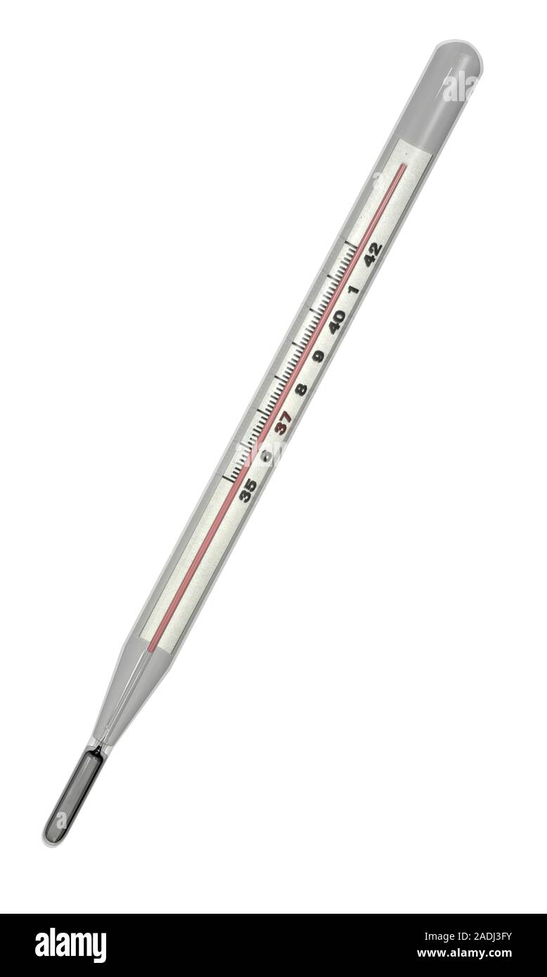 Medical thermometer, computer artwork. This thermometer uses the