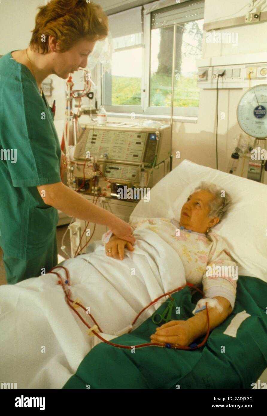 Kidney dialysis. Nurse comforts an elderly woman during the procedure