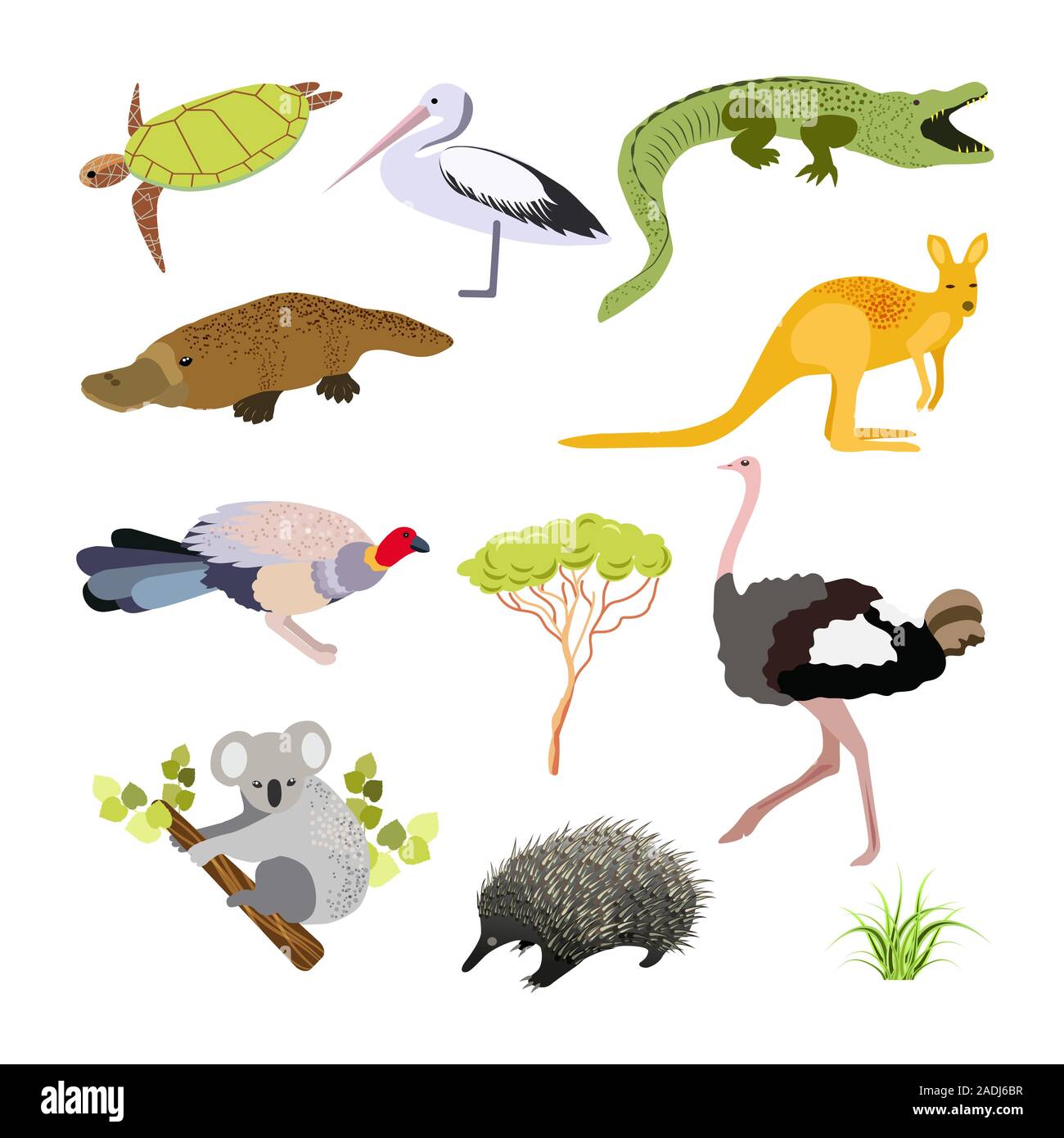 Australian animals. Vector illustration in flat style.The main symbols of country Stock Image & Art - Alamy