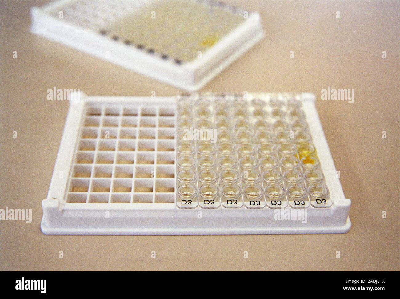 ELISA test plates. Multiwell sample trays used for enzymelinked