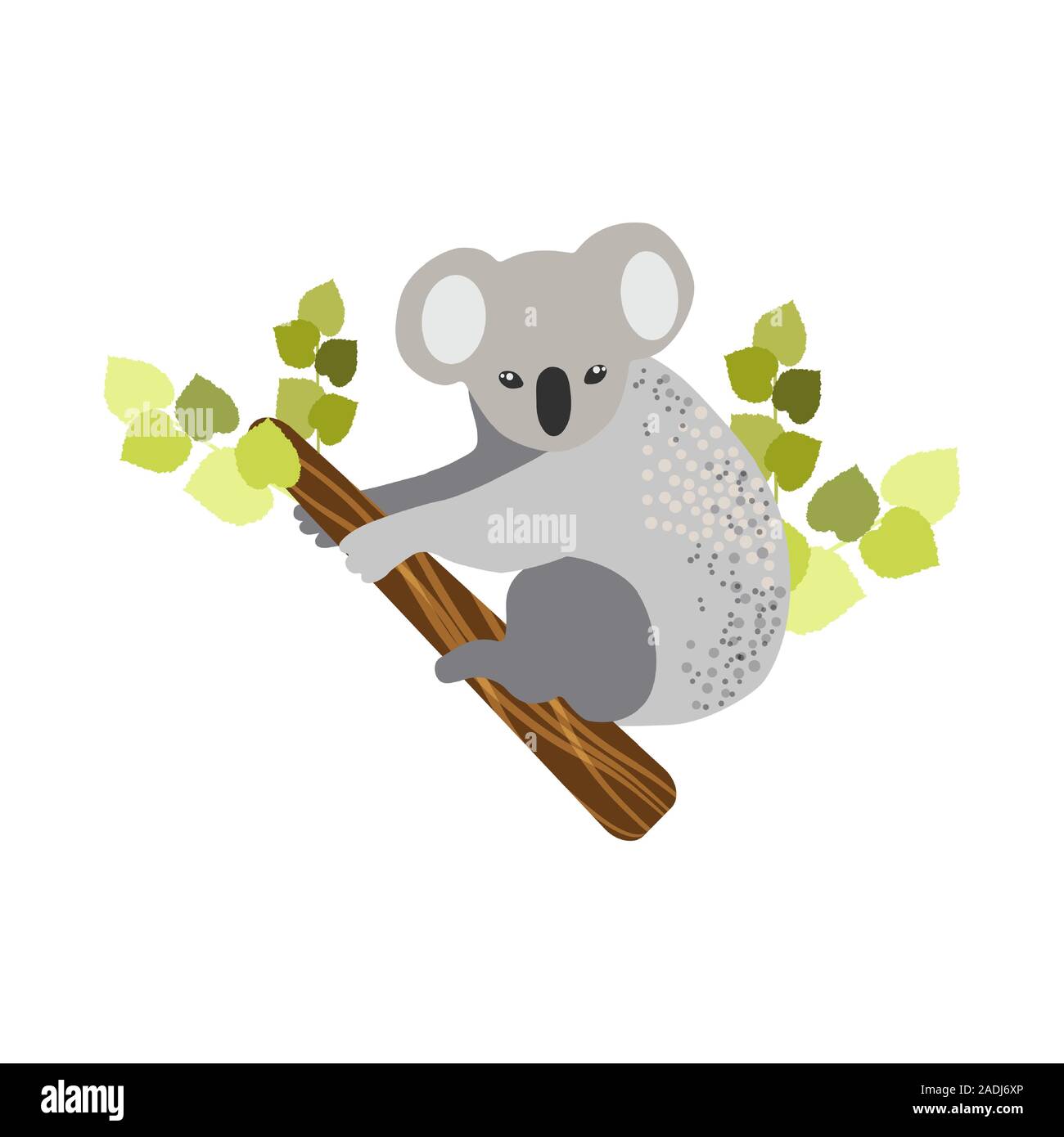 Australian animals. Vector illustration in flat style.The main symbols
