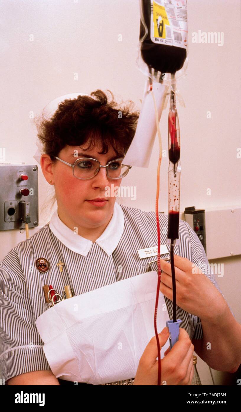 MODEL RELEASE AVAILABLE. Blood transfusion nurse preparing bag of