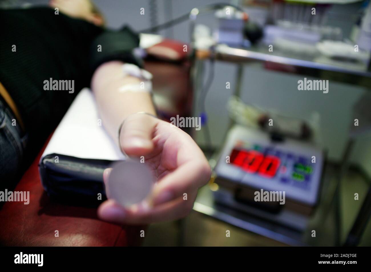 Blood donation. Blood donor lying down, with a tube inserted in a vein