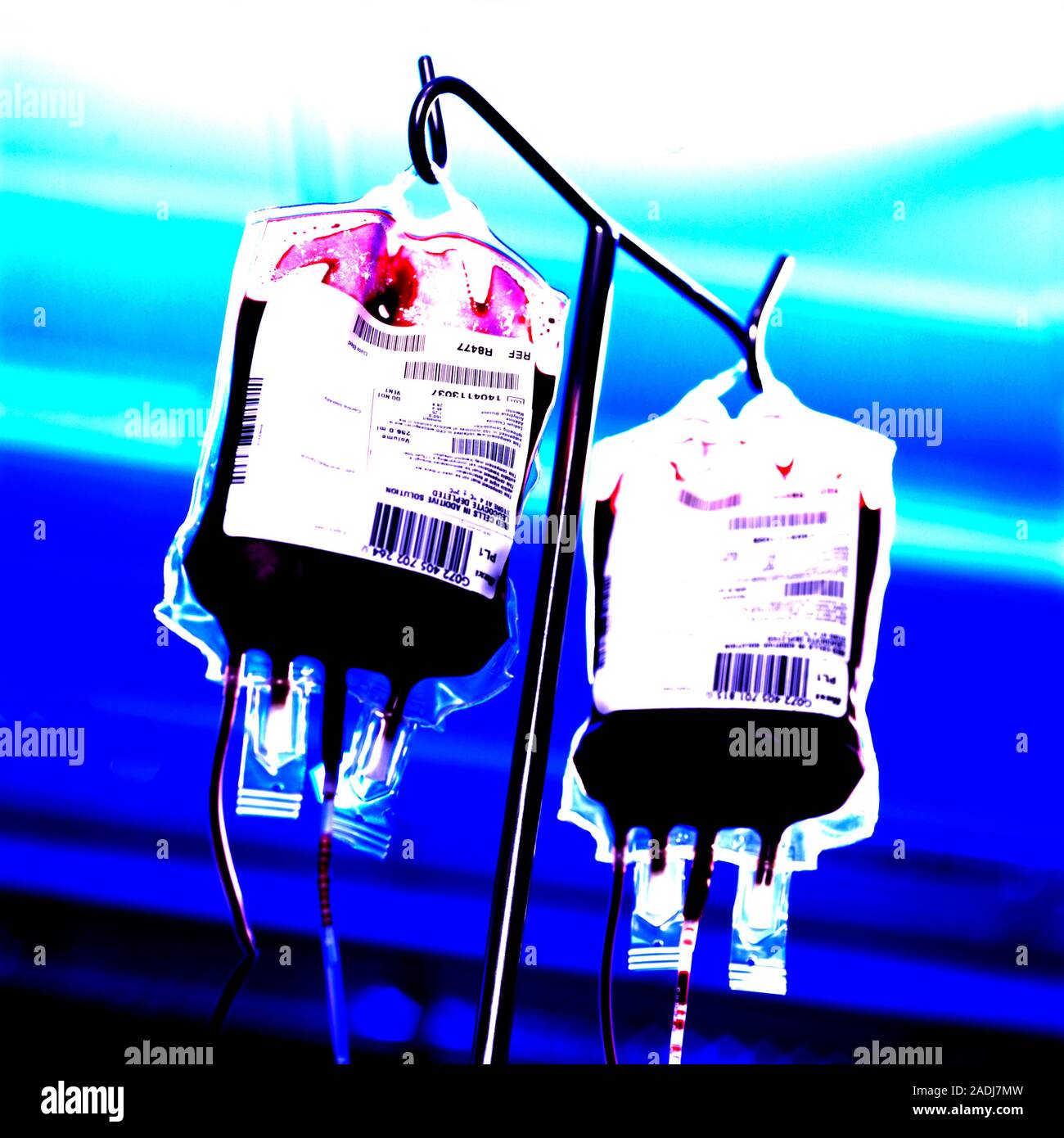 Blood bags on a drip stand Stock Photo Alamy