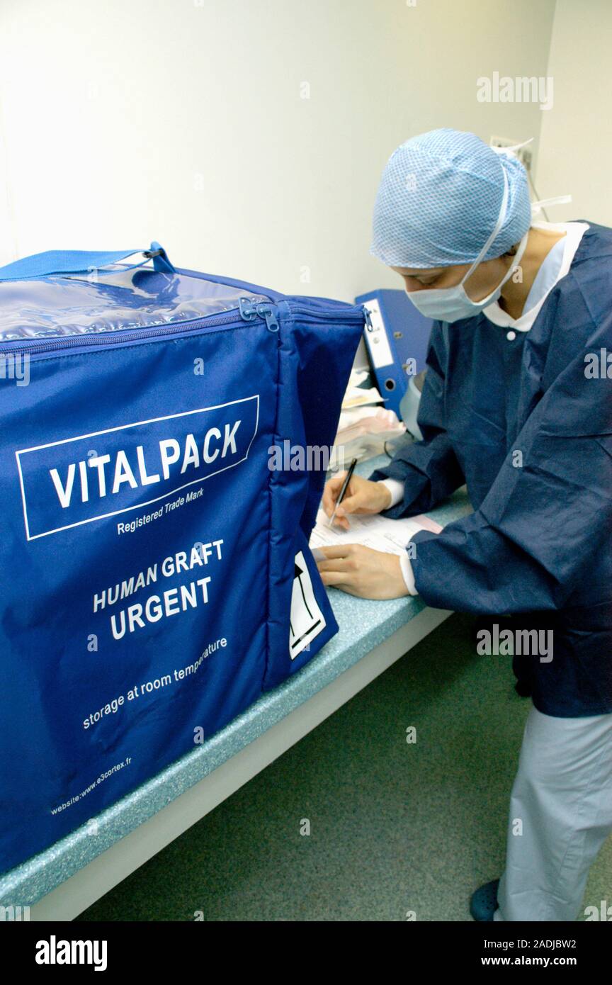 MODEL RELEASED. Kidney transplant. Image 6 of 17. Storage box for a