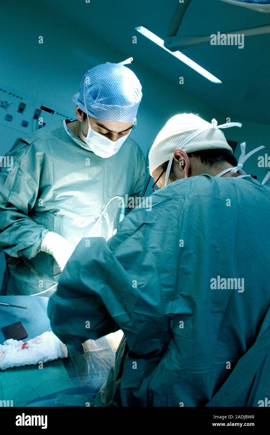 MODEL RELEASED. Kidney transplant. Image 10 of 17. Surgeons performing