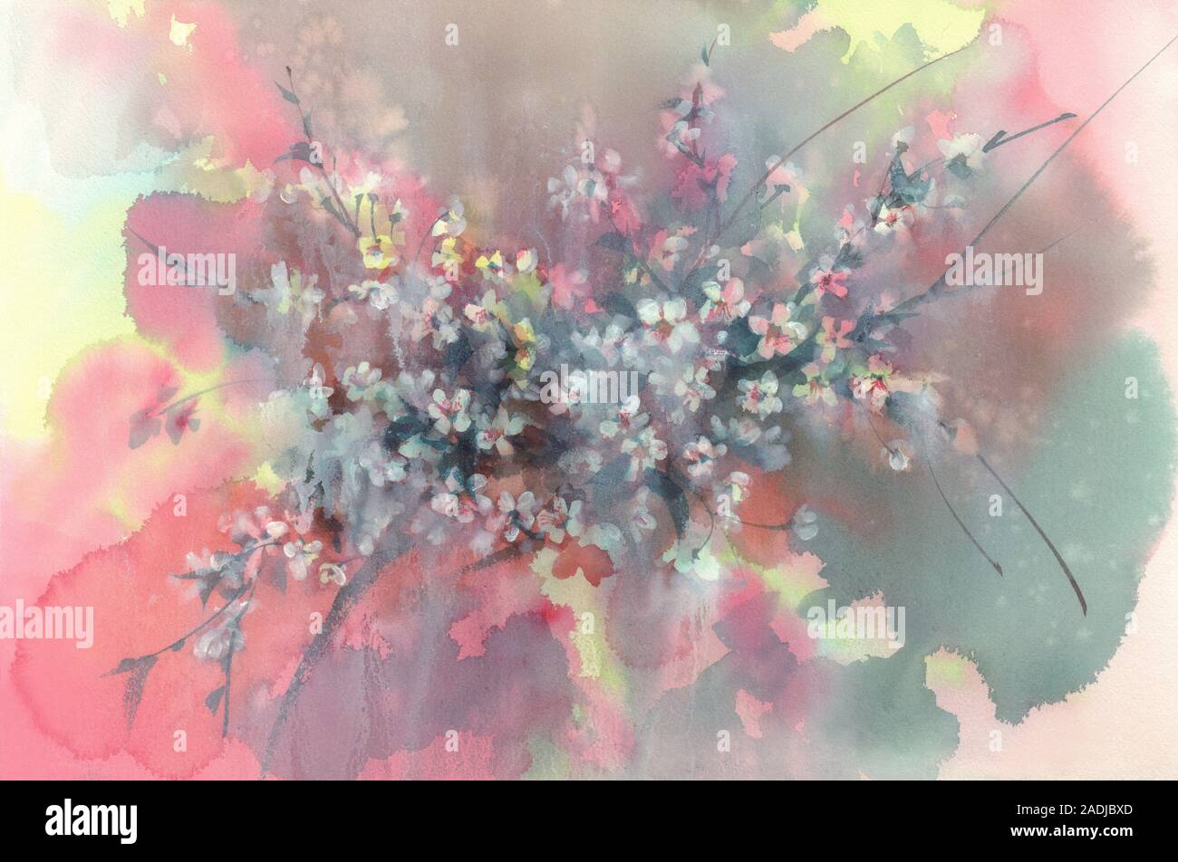 Sakura flower in white bloom watercolor background Stock Photo - Alamy