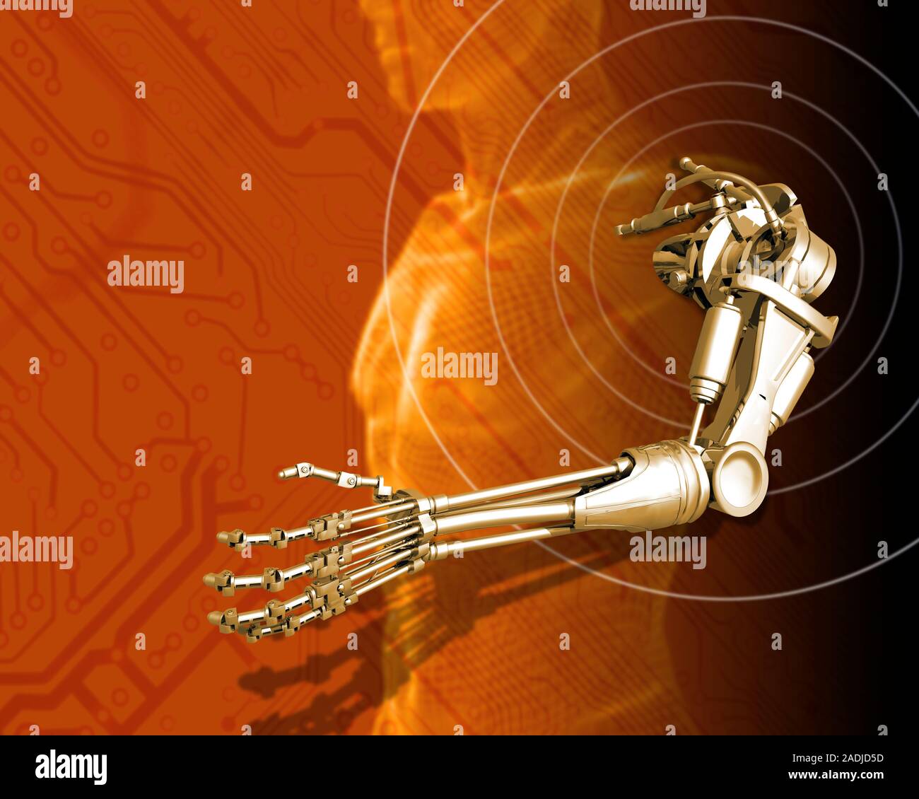 Prosthetic robotic arm, computer artwork. In the future it may be