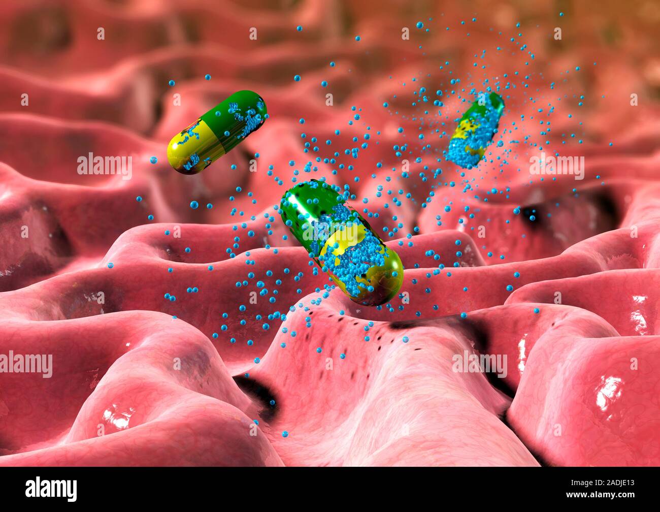 Drug release in stomach. Computer artwork of drug capsules dissolving