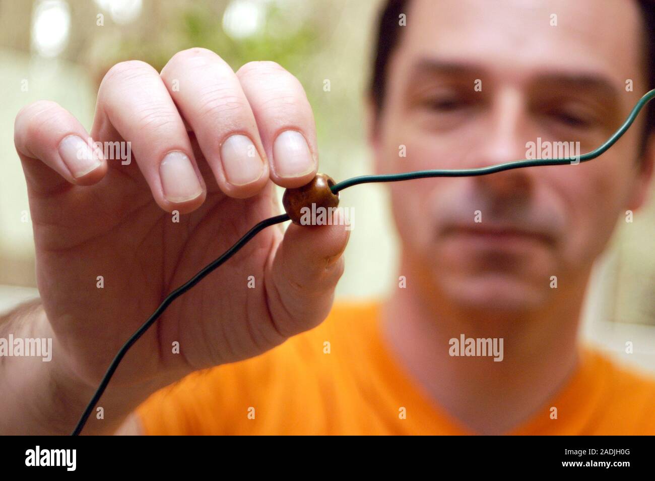 MODEL RELEASED. Occupational therapy. Stroke patient threading a bead along a length of string