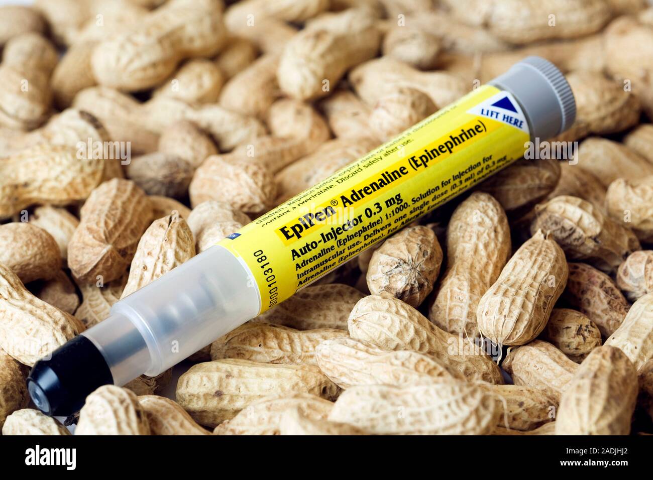 EpiPen And Peanuts The EpiPen Is Used To Treat Anaphylactic Shock A epipen-and-peanuts-the-epipen-is-used-to-treat-anaphylactic-shock-a