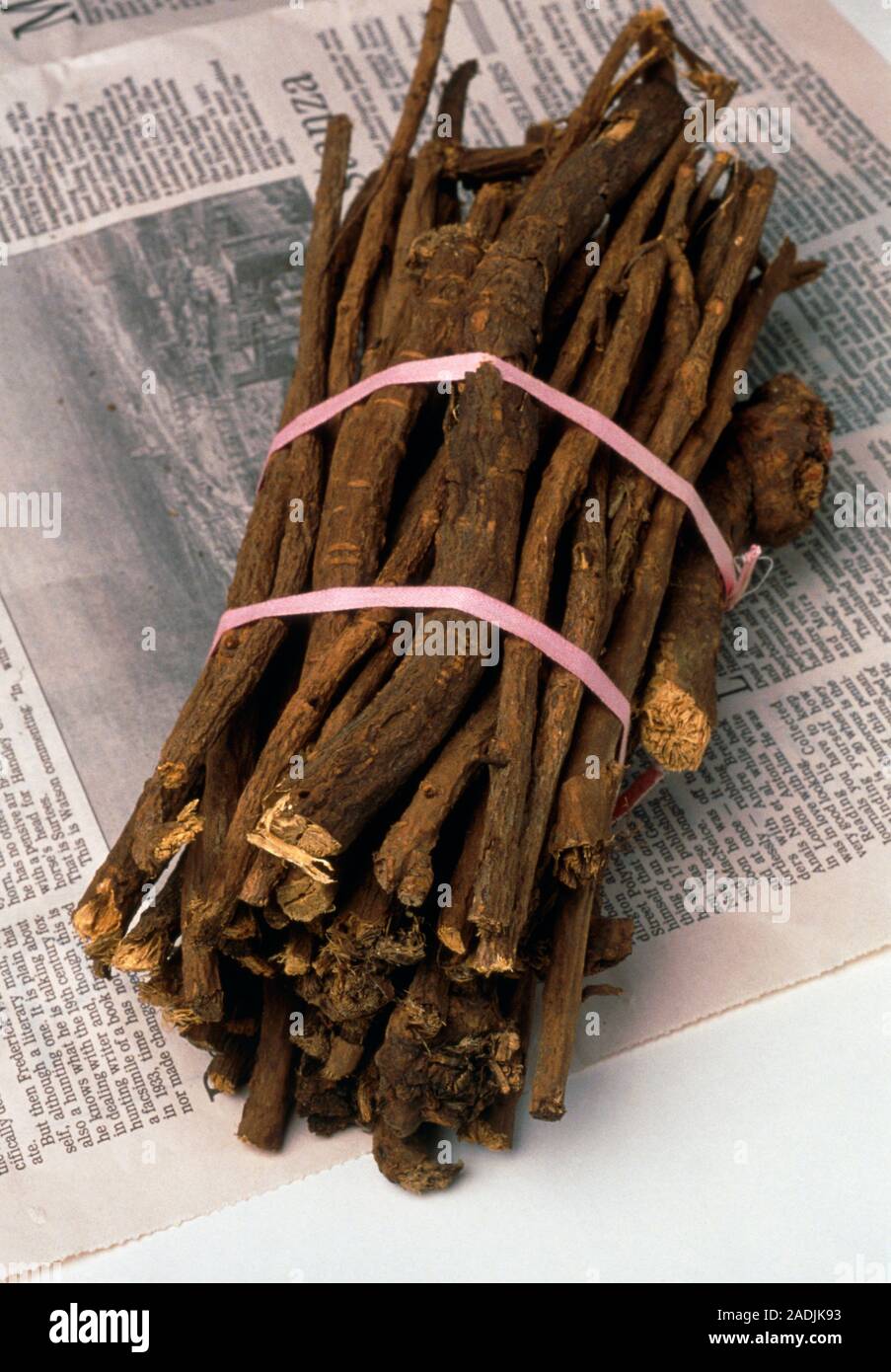 Liquorice roots. Bundle of liquorice roots (Glycyrrhiza sp.) for use in