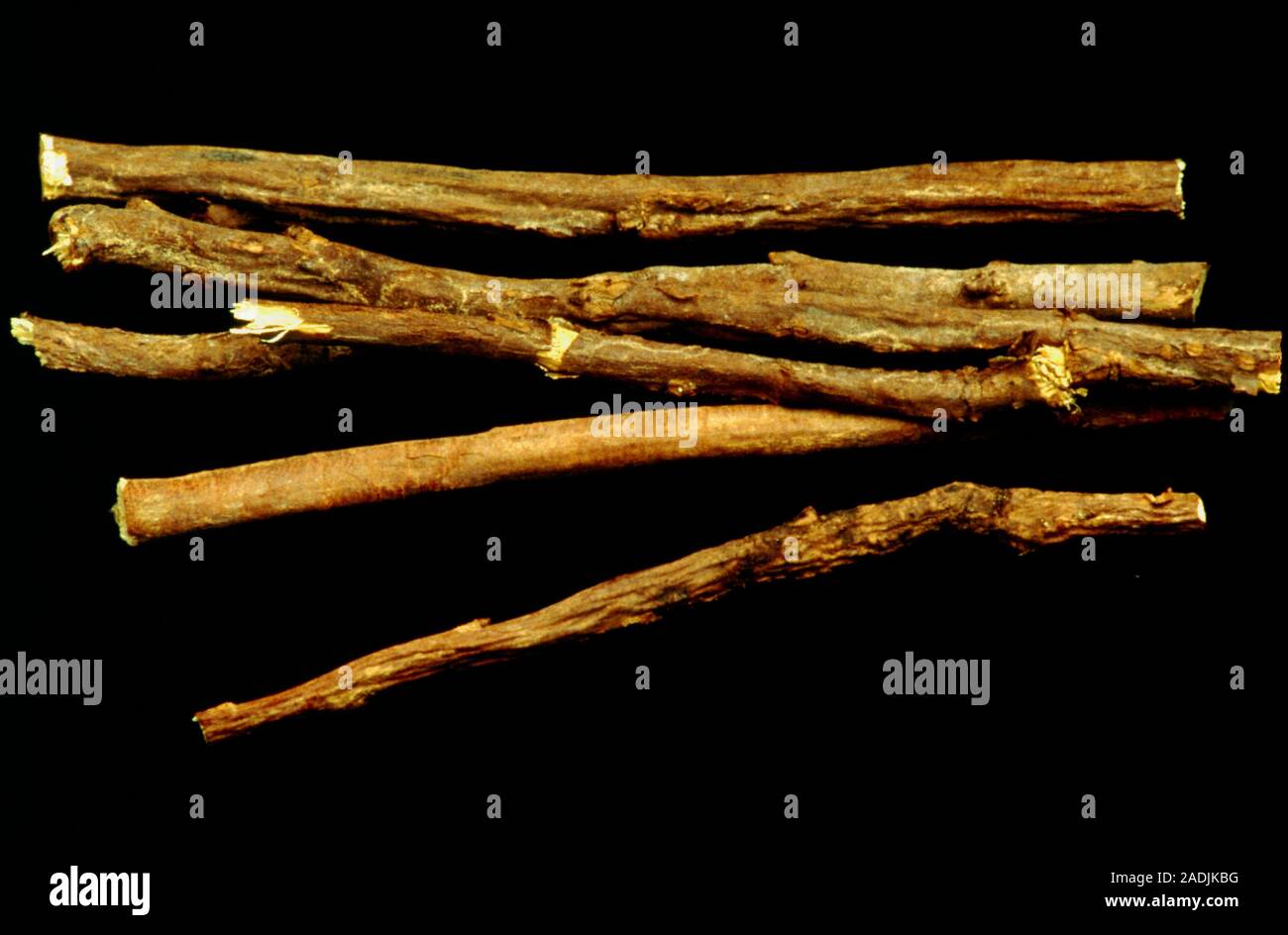 Liquorice roots. The roots of the liquorice plant (Glycyrrhiza glabra
