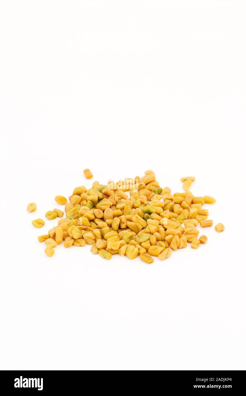 Fenugreek seeds (Trigonella foenumgracecum). This aromatic herb is
