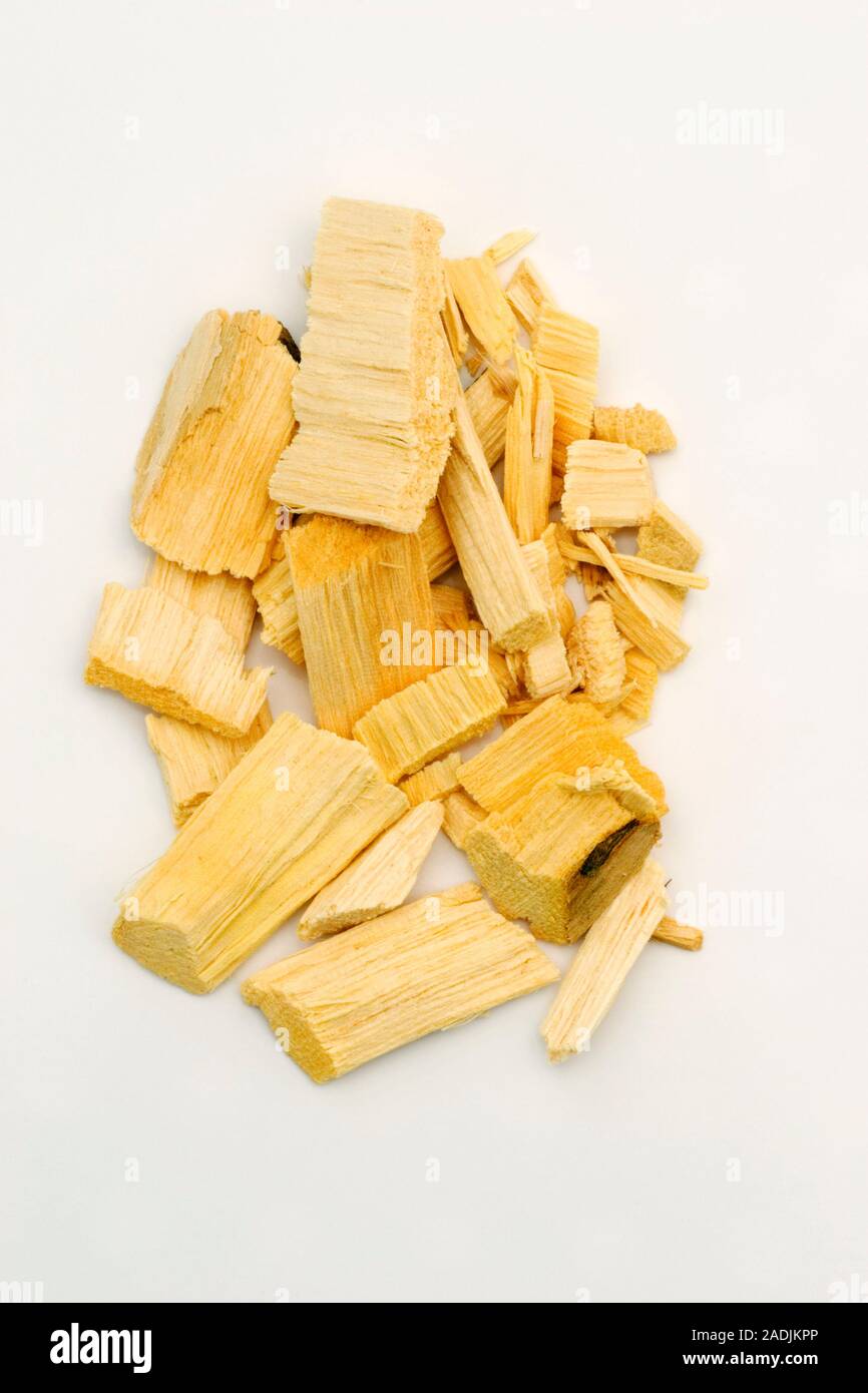 Jamaican quassia. Chips of Jamaican quassia wood (Picrasma exelsa