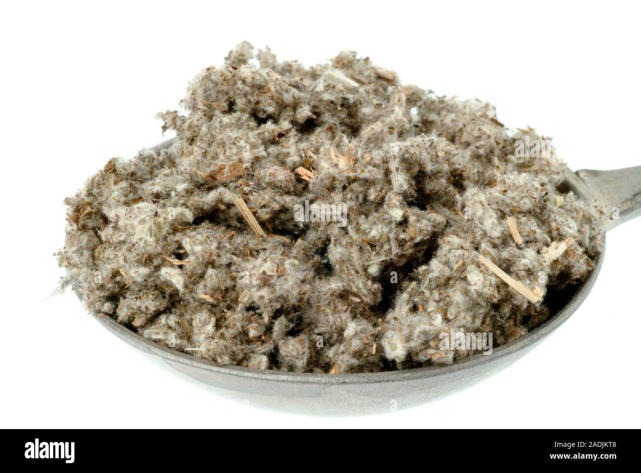 Dried globe artichoke leaves. The leaves of the globe artichoke (Cynara