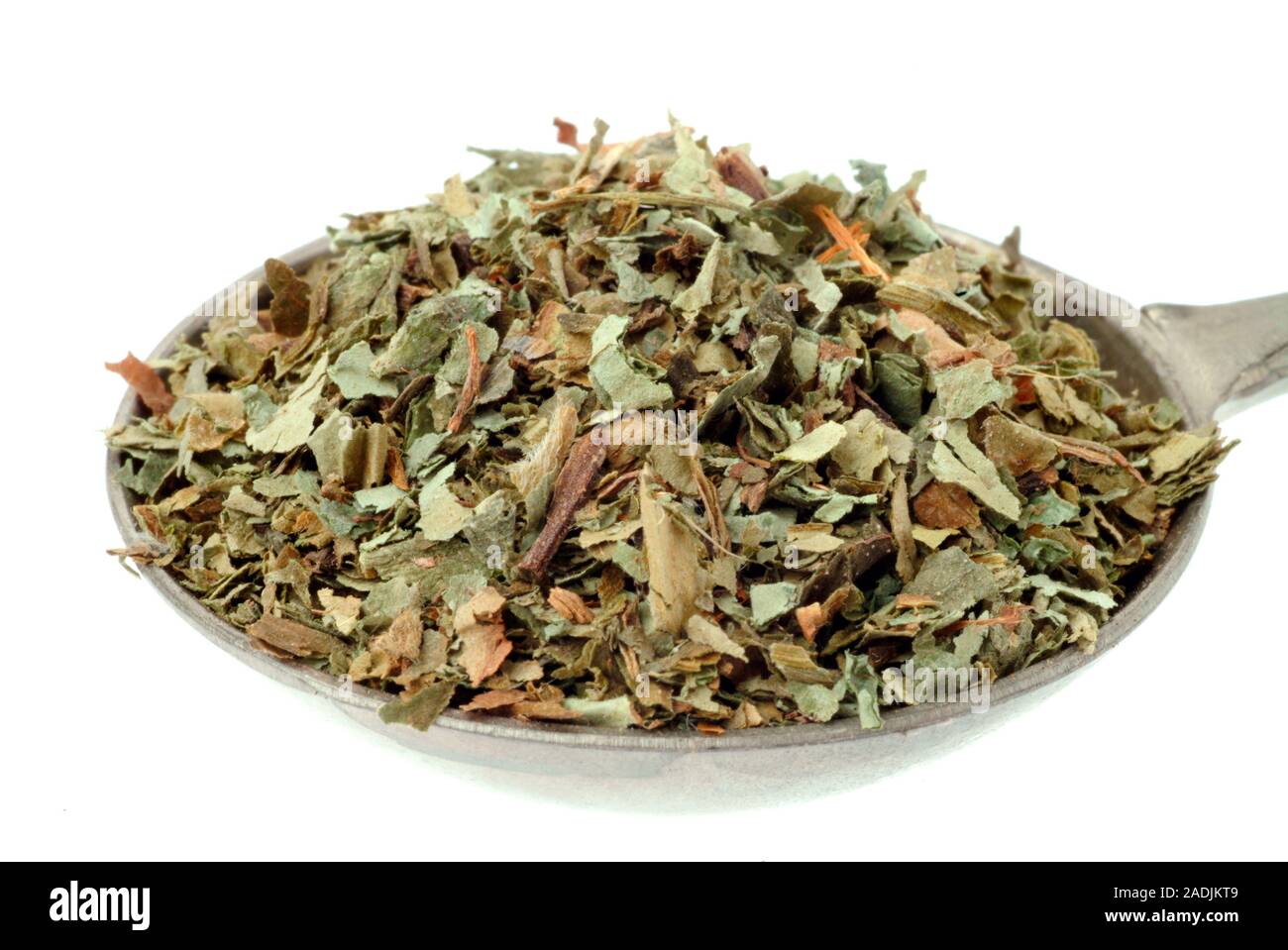 Dried common lungwort (Pulmonaria officinalis) leaves. These will be