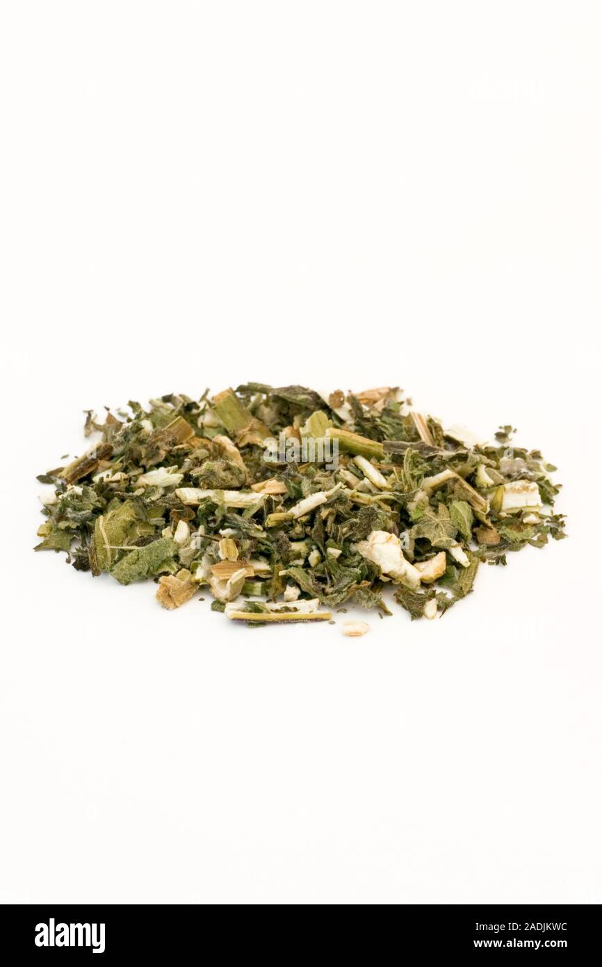 Motherwort. Dried preparation of motherwort (Leonurus cardiaca) for use