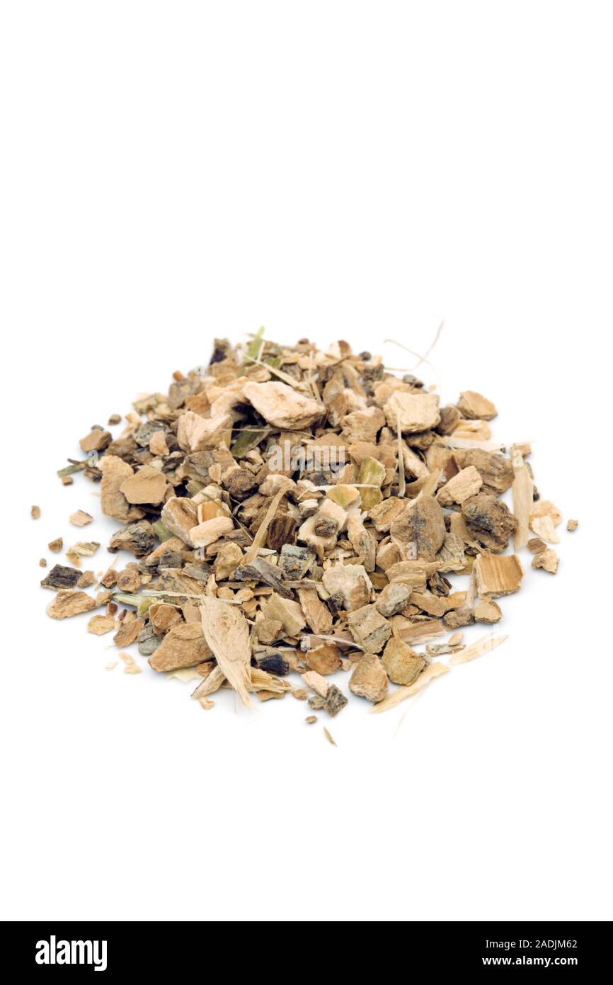 Fringe tree (Chionanthus virginicus). This is used in herbal medicine