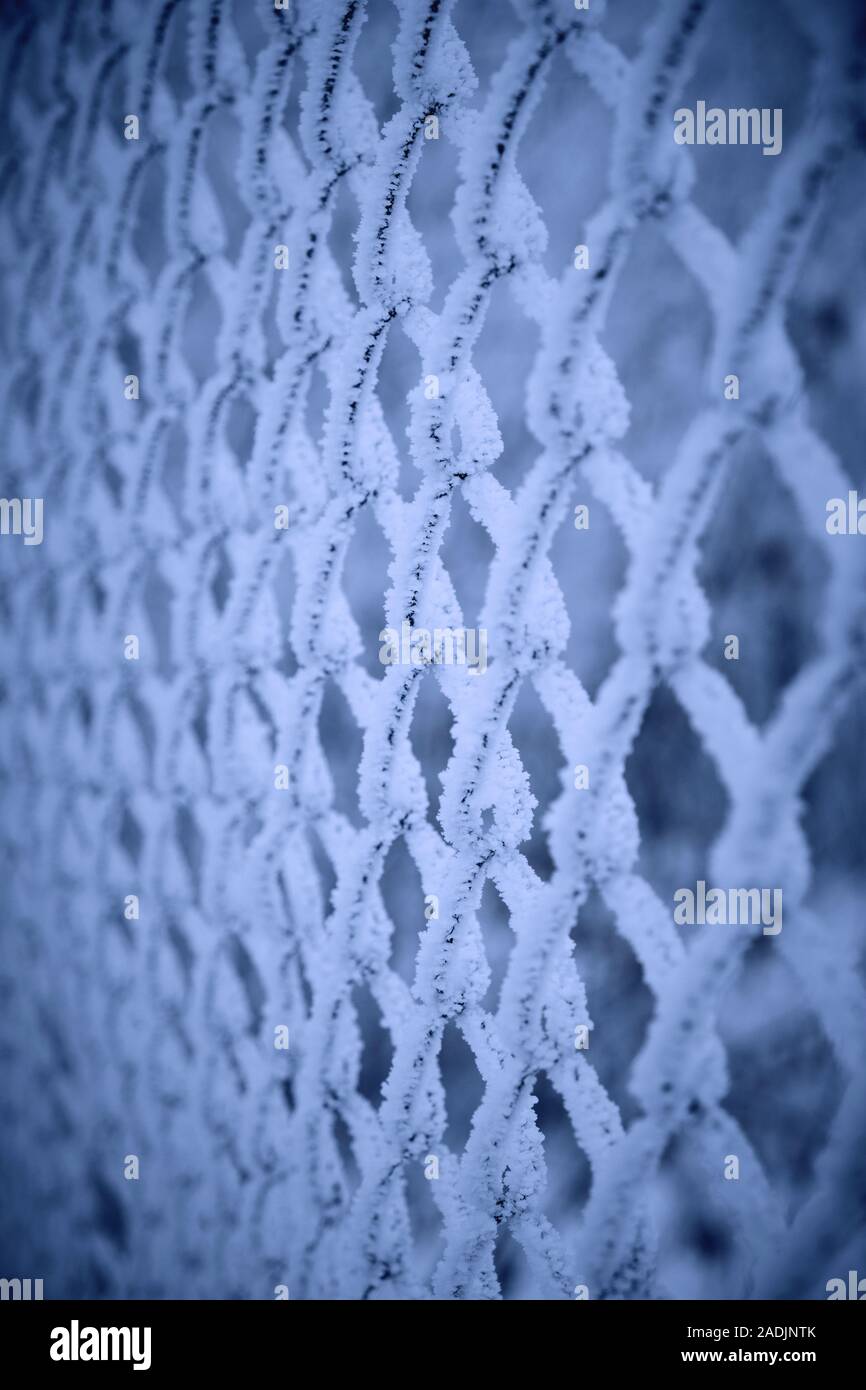 Mesh netting covered frost hi-res stock photography and images - Alamy