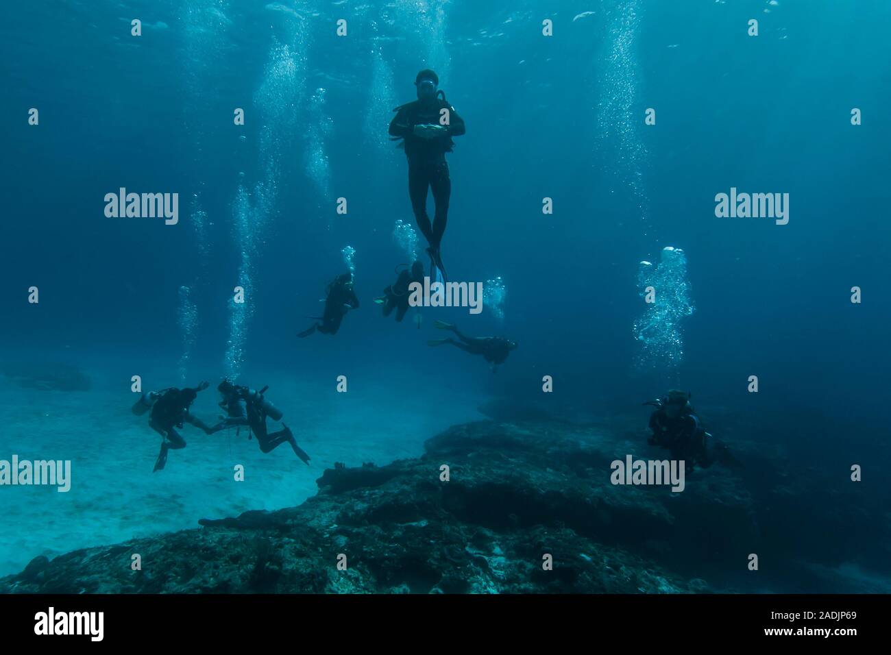 Scuba Diving Mexico Cozumel Stock Photo Alamy