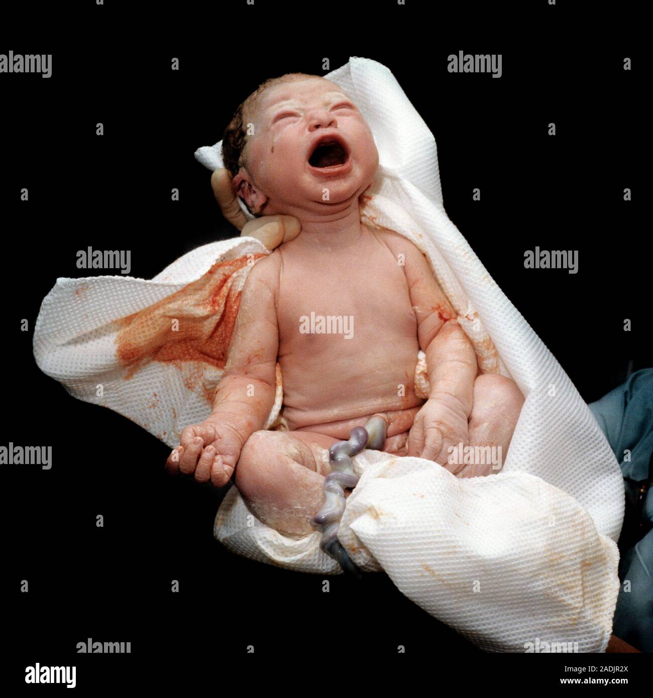 Newborn baby. Healthy newborn baby girl seen seconds after a natural