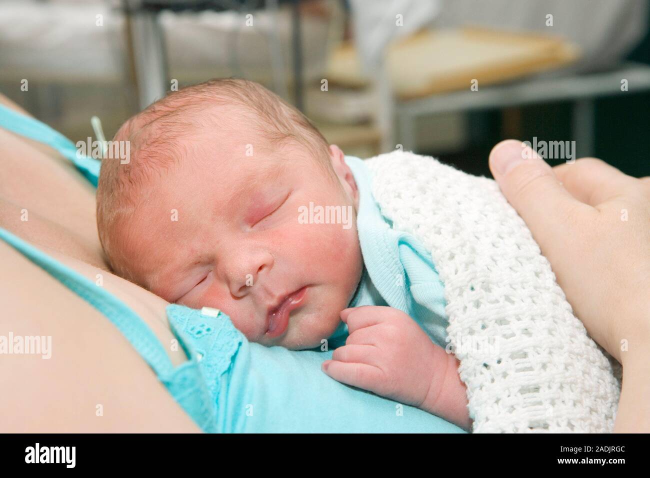 бэбрик фото. бебрик фото.