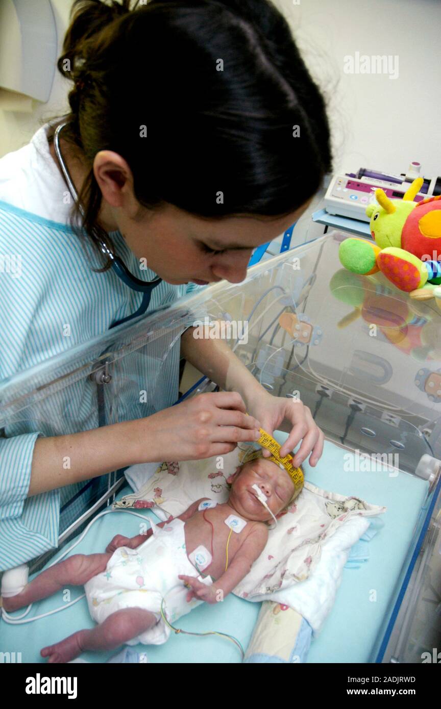 MODEL RELEASED. Premature baby. Doctor measuring the circumference of a