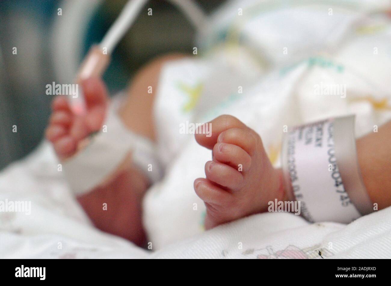 MODEL RELEASED. Baby's foot. Identification tag around a premature baby