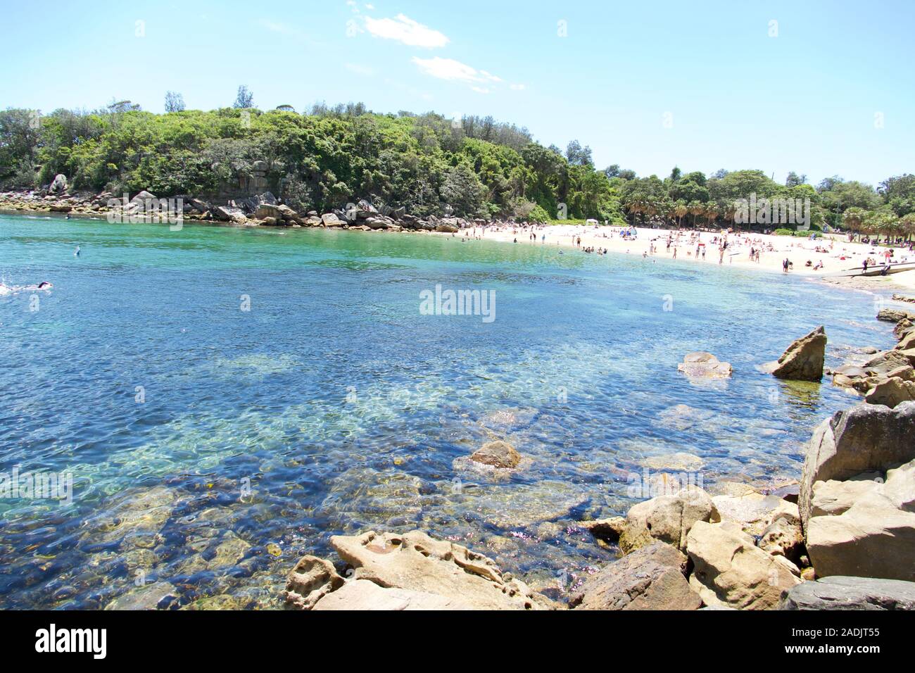 Shelly Beach and Manly Beach, Sydney, New South Wales, Australia, Australasia Stock Photo