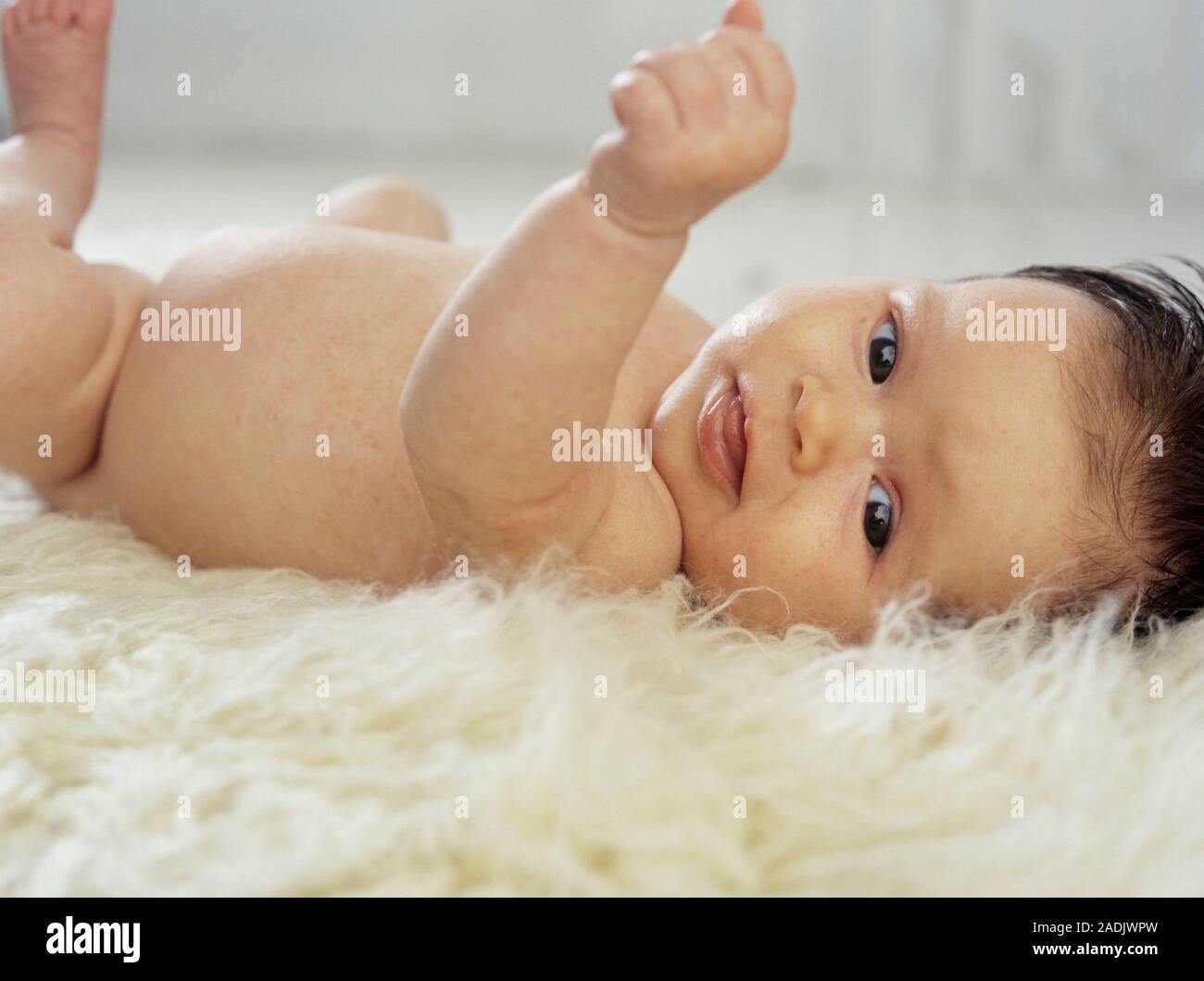 MODEL RELEASED. Baby girl. Playful eightweekold baby Stock Photo Alamy