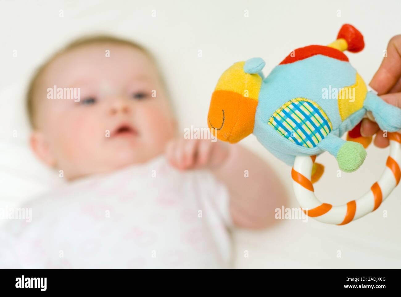 MODEL RELEASED. Baby in a cot. Parent holding a toy above her five