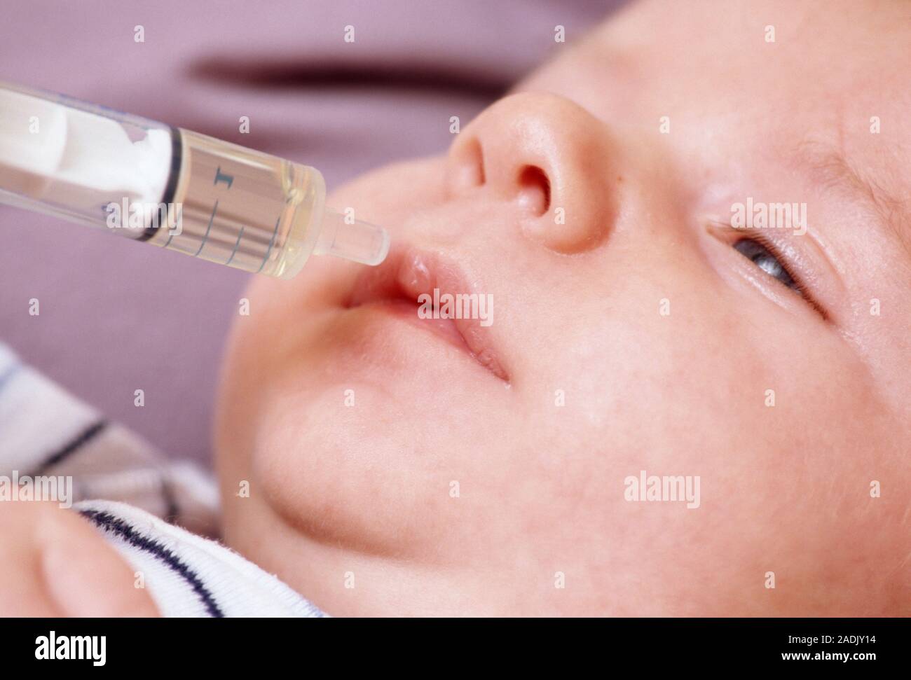 Baby's vitamins. Syringe (without a needle) being used to deliver a
