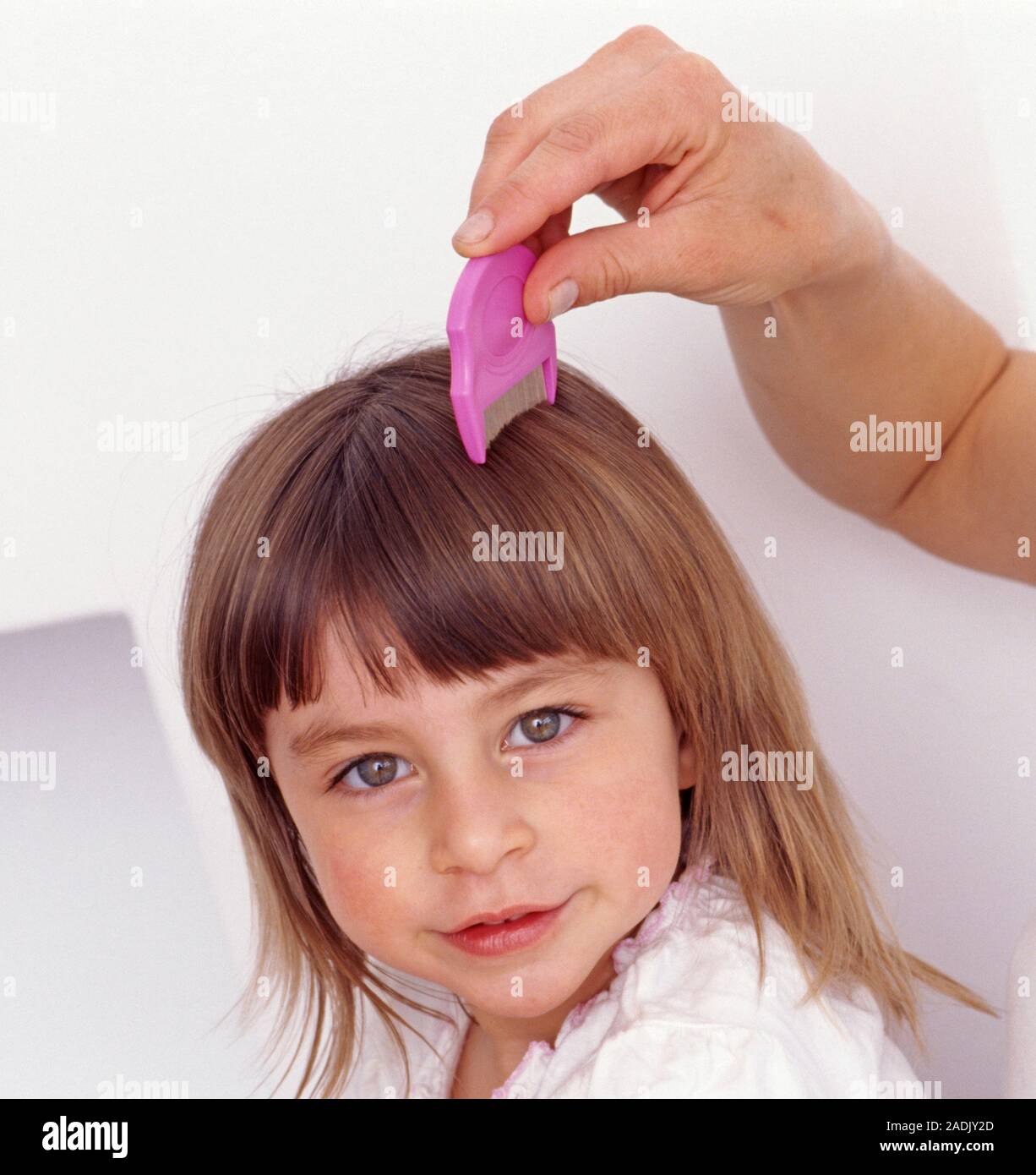 Removing head lice. Young girl having her hair brushed with a nit comb