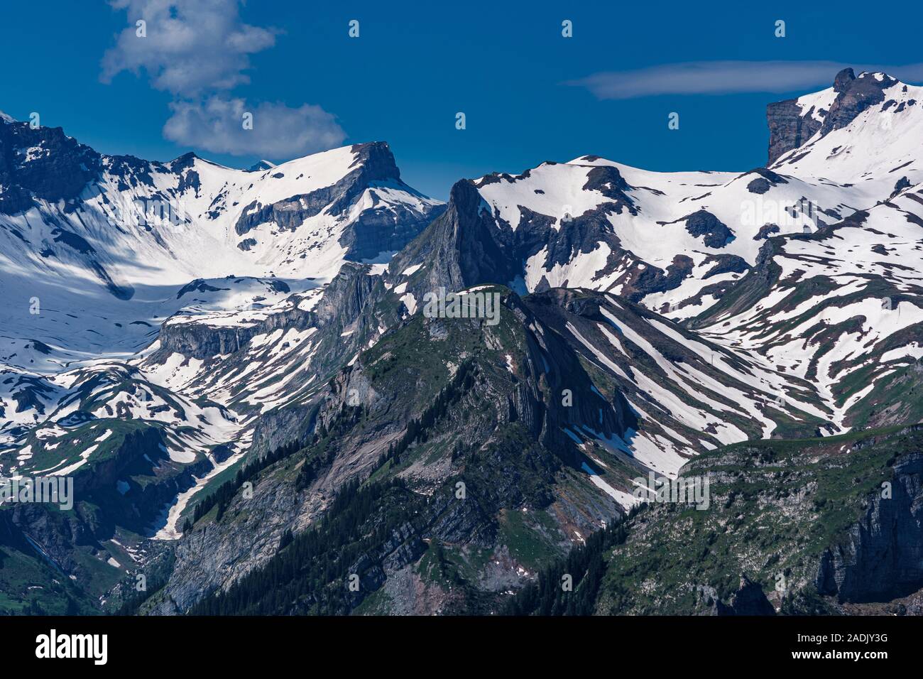 Panoramic view of the Swiss Alps from the Schynige Platte Stock Photo ...
