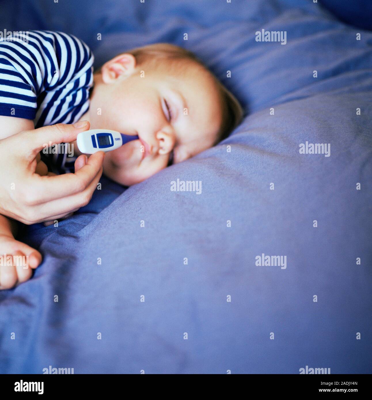 MODEL RELEASED. Taking baby's temperature. Thermometer being used to