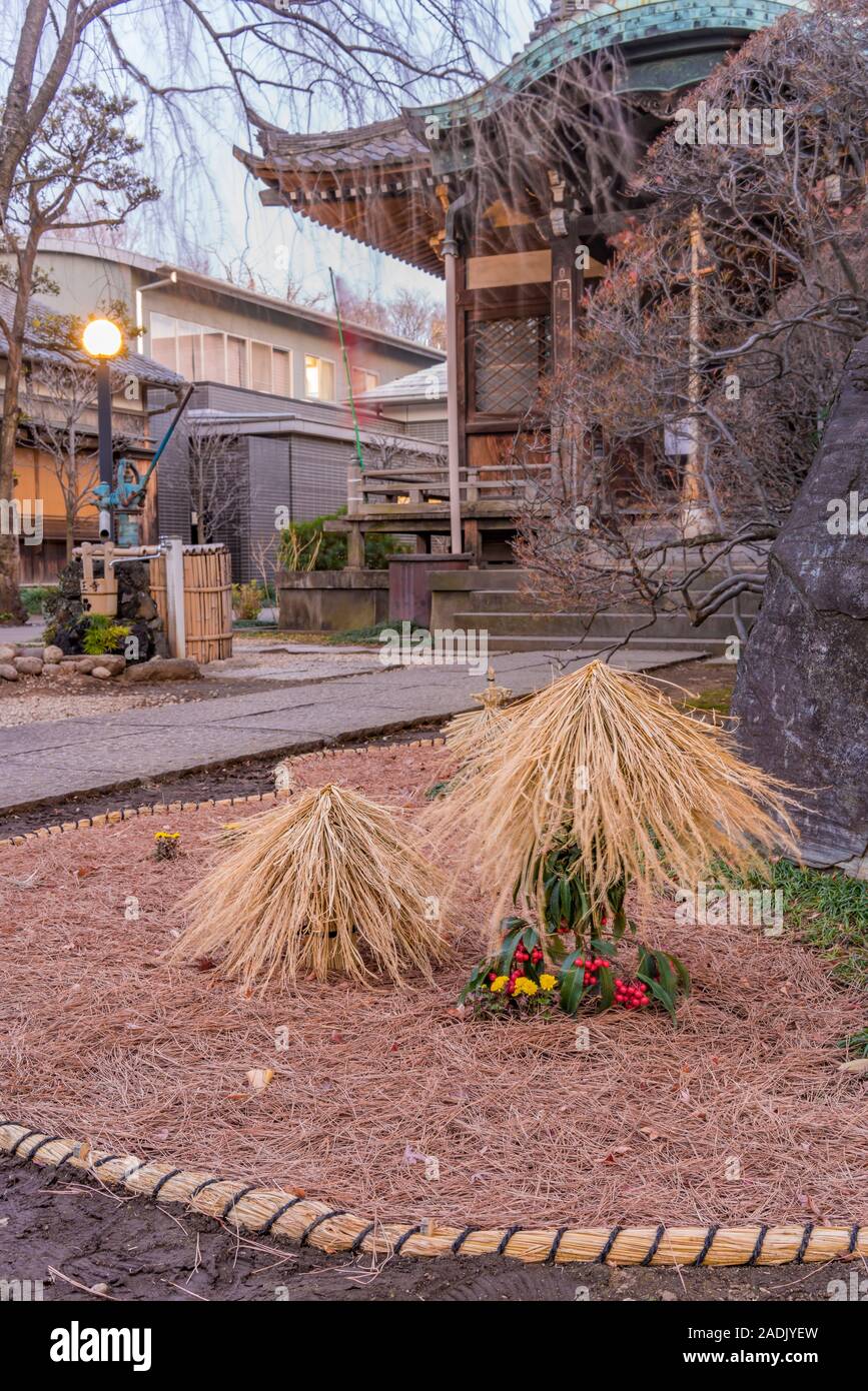 Japanese garden with mini yukitsuri straw winter decoration on a chritmas holly tree in the Tennoji Temple of Tokyo. Stock Photo