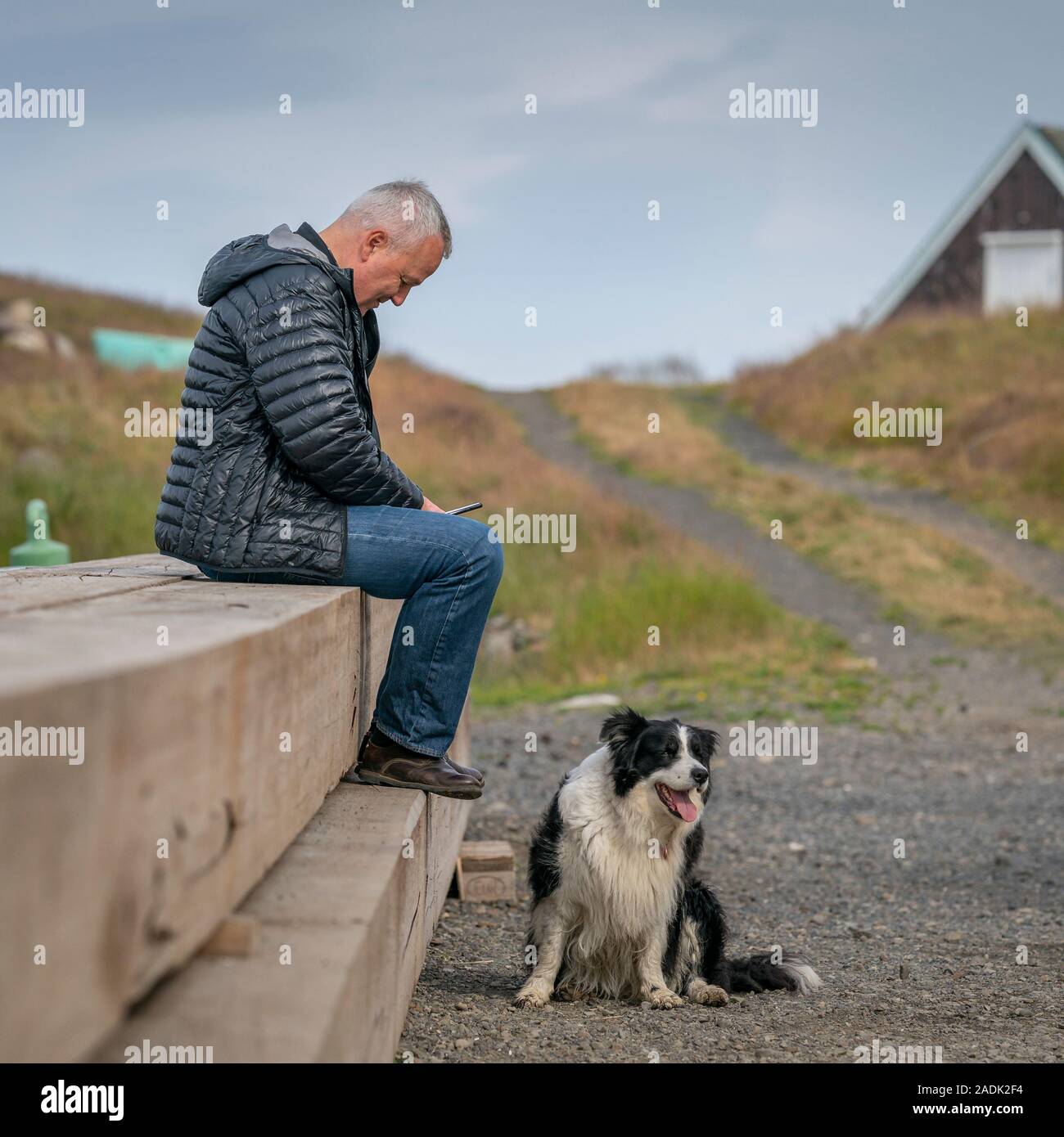 Man and his dog, Flatey Island, Breidafjordur, Westfjords, Iceland Stock Photo
