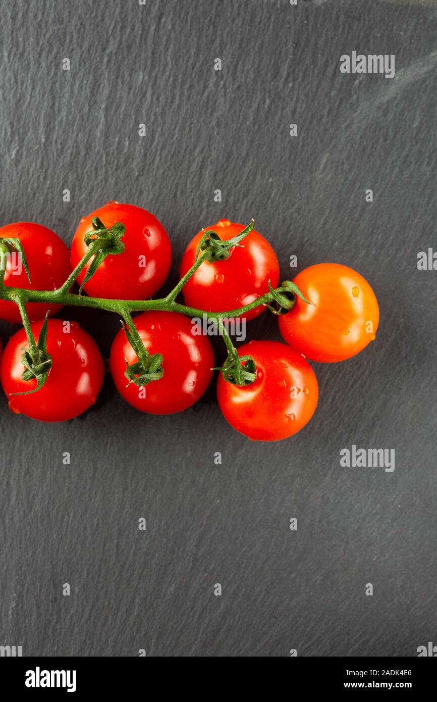 Vertical photo with branch of cherry tomatoes Stock Photo - Alamy