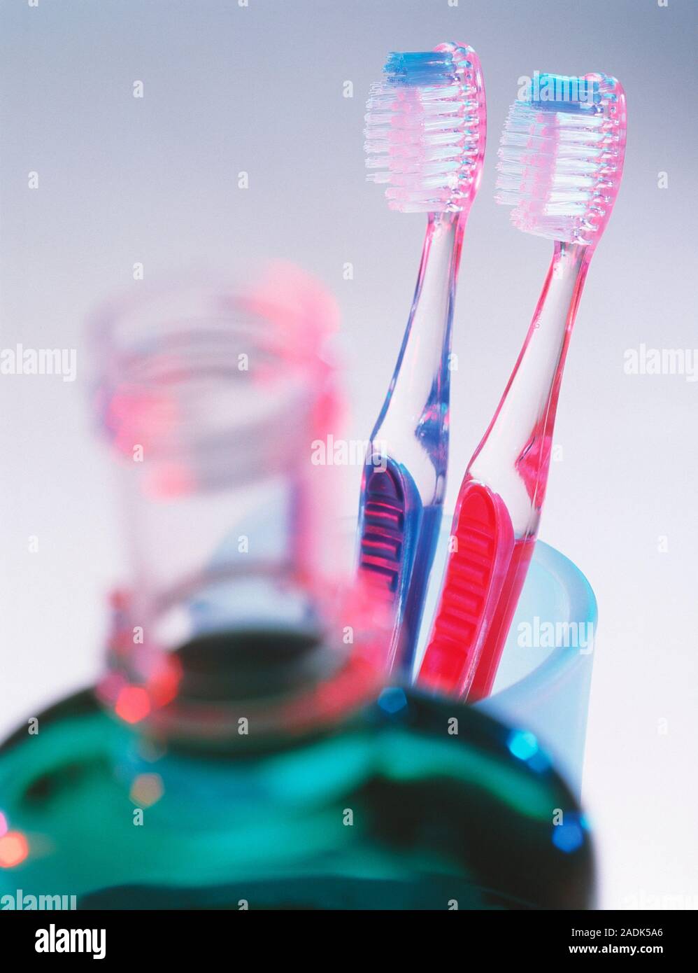 Toothbrushes behind a bottle of mouthwash. Regular toothbrushing helps