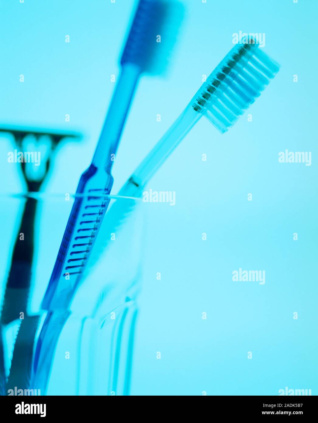 Toothbrushes in a beaker with a razor. Regular toothbrushing helps to