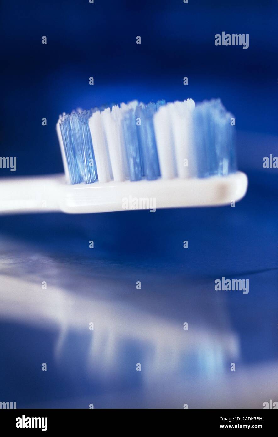 Toothbrush. The head of a toothbrush is used for regular brushing of