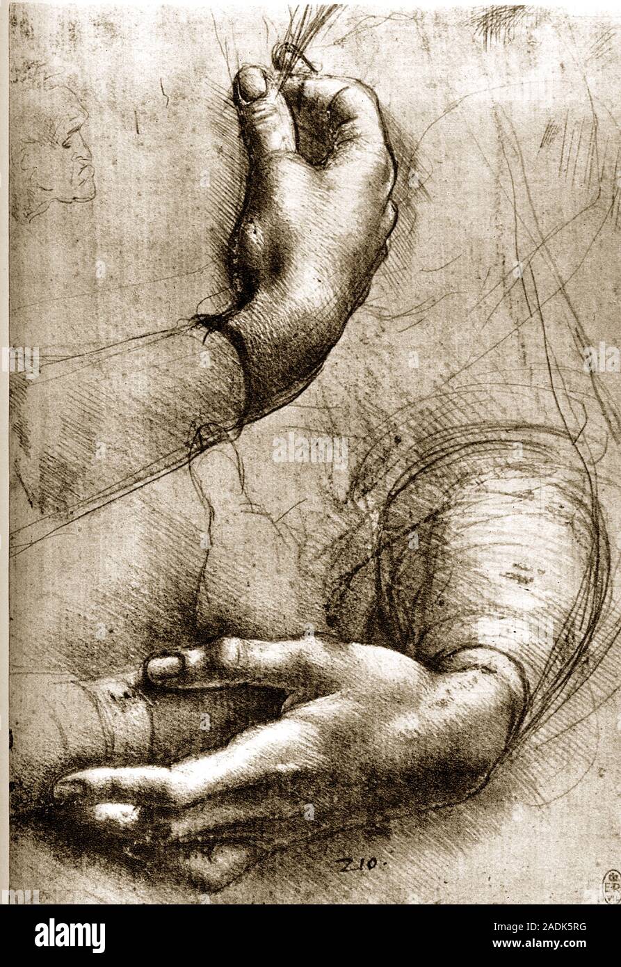 Hands. Historical artwork of a woman's hands by the Italian scientist ...