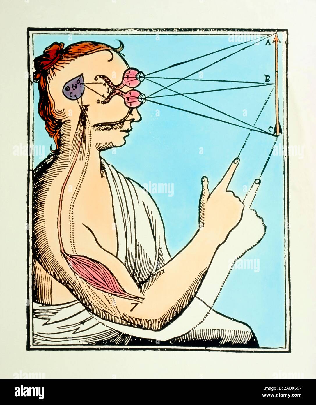 лакан ликбез