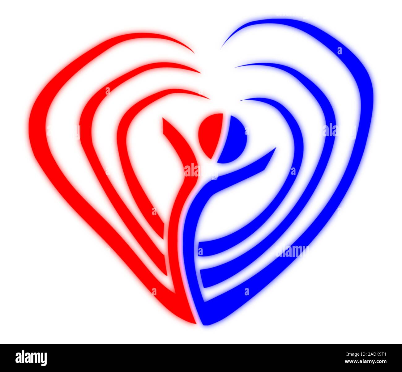 Human circulatory system, conceptual computer artwork. Veins (blue