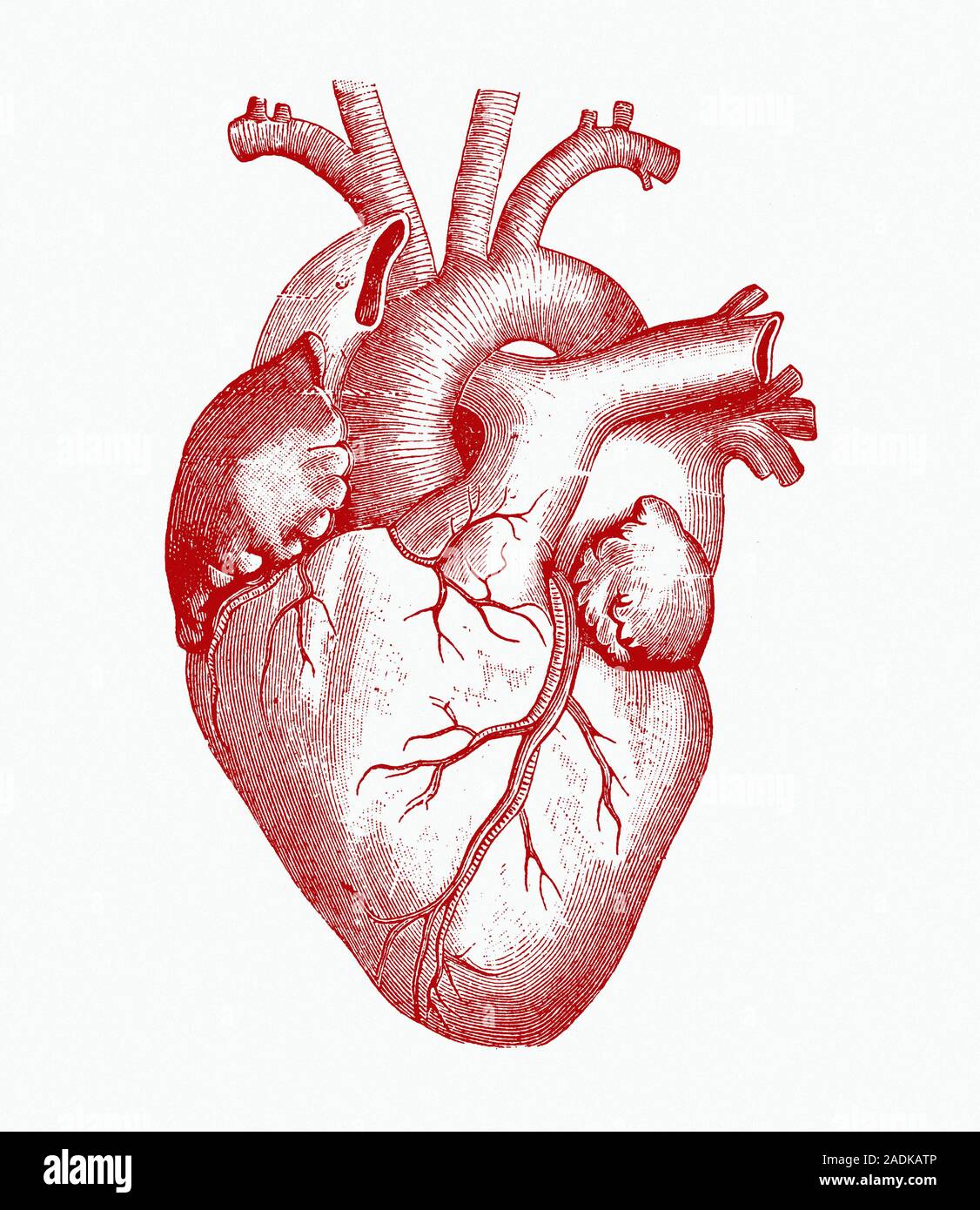 My Image 10