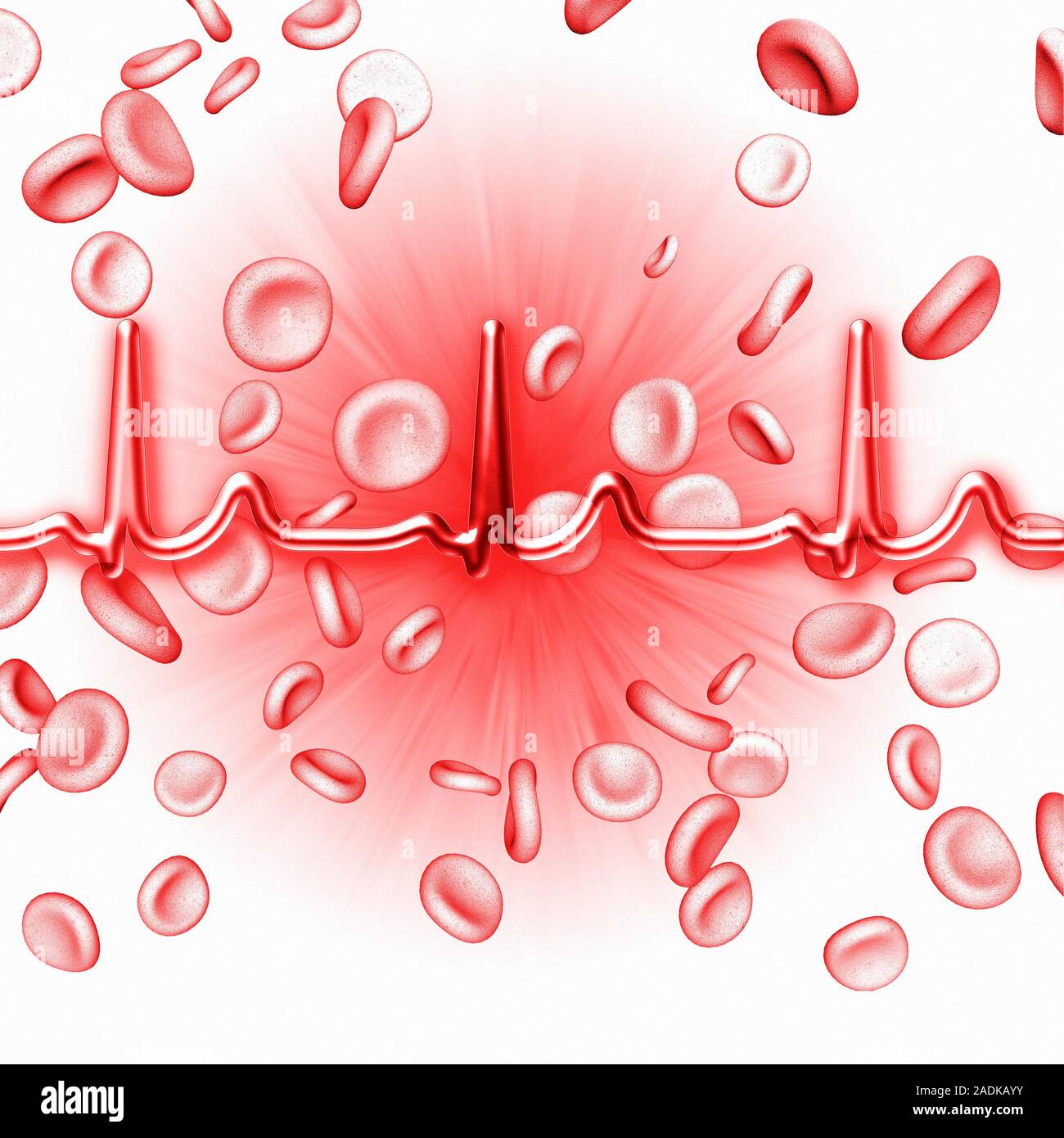 ECG and red blood cells. Computer artwork of an electrocardiogram (ECG ...