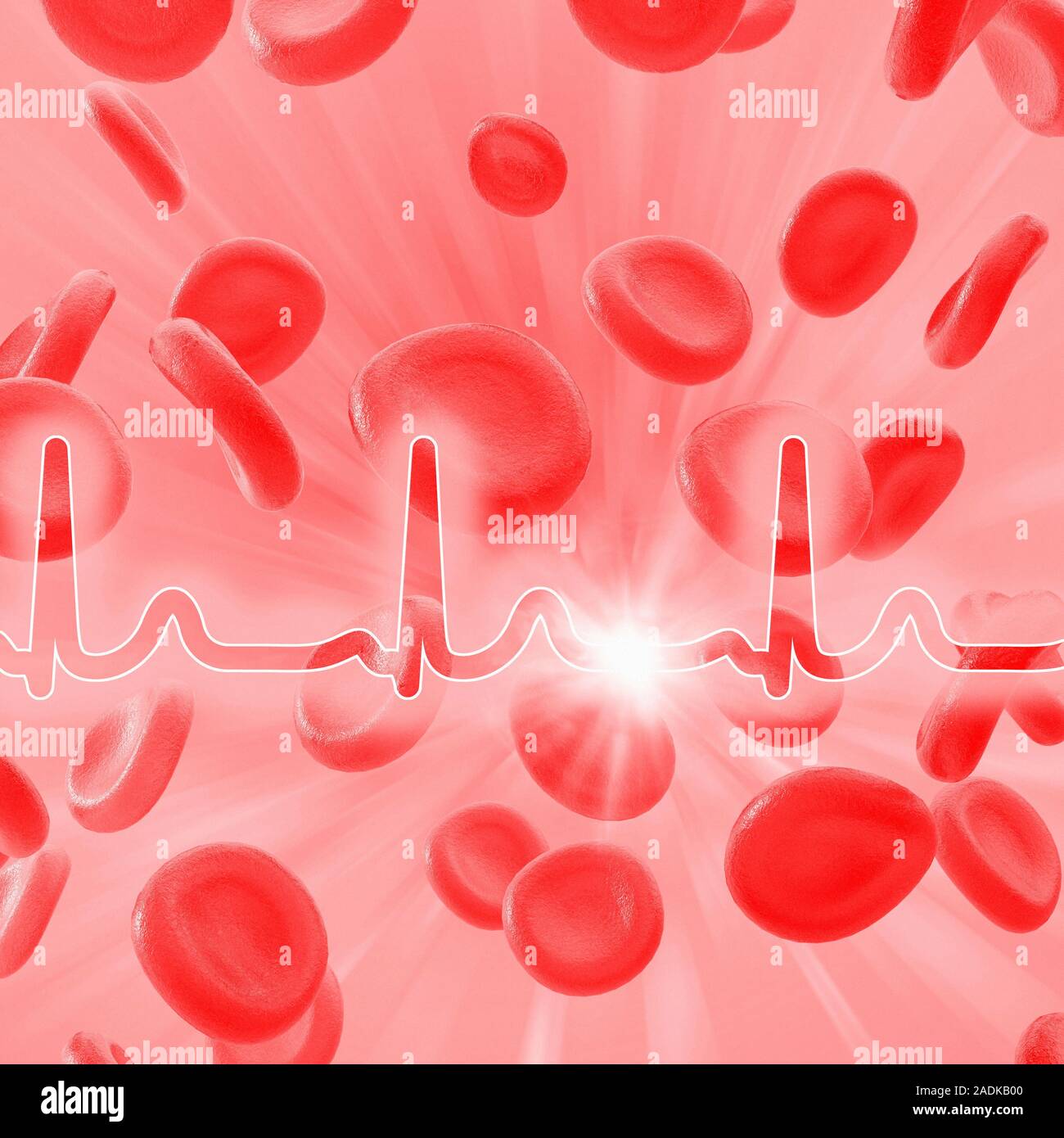 ECG and red blood cells. Computer artwork of an electrocardiogram (ECG ...