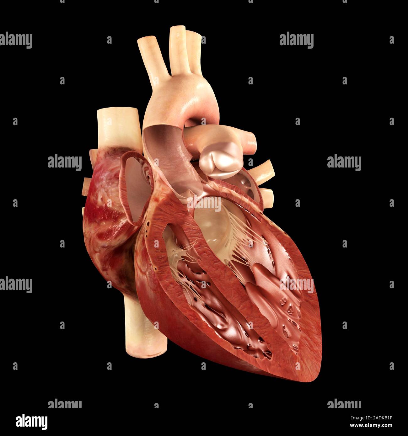 My Image 26
